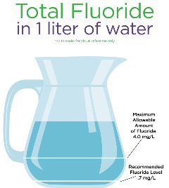 Fluoride Pitcher Fluoride Pitcher