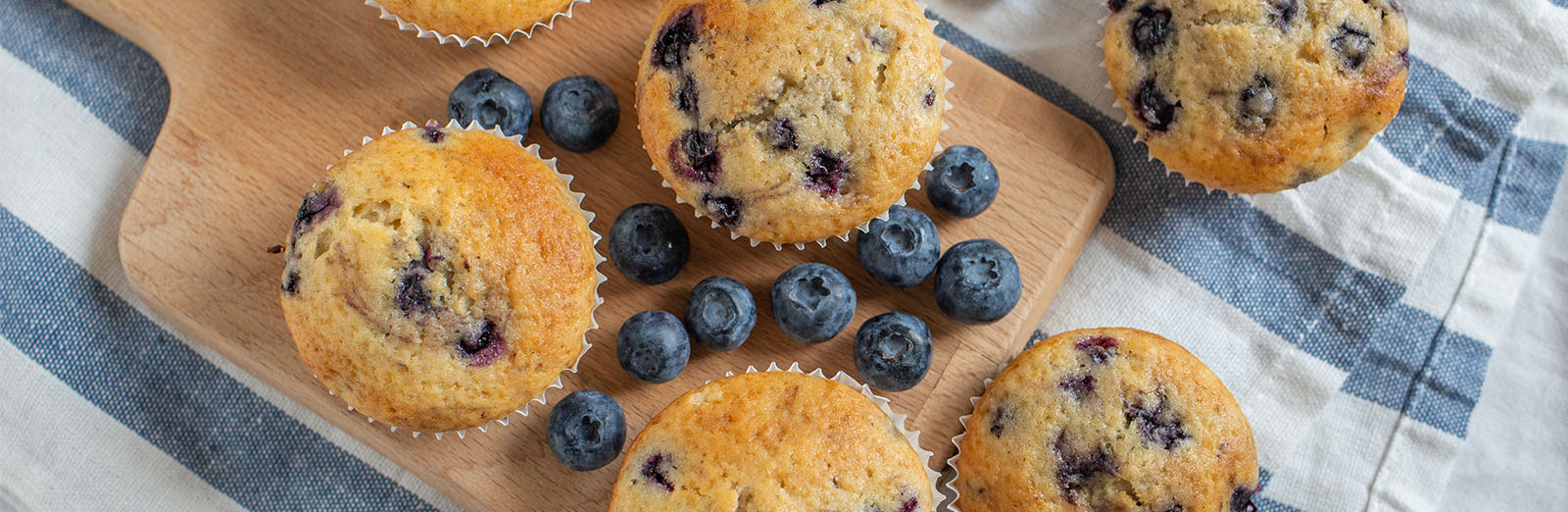 blueberry muffins