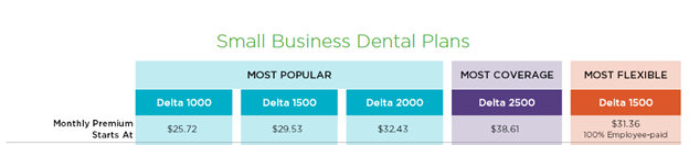 dental insurance, small business, for premium blog